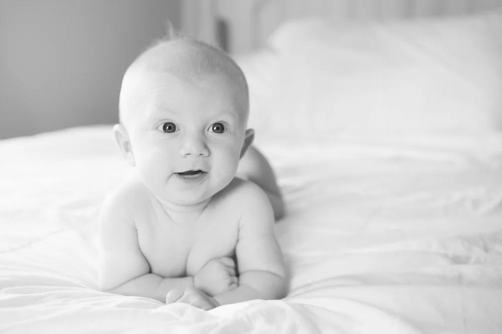 baby portrait