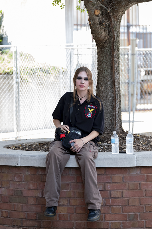police officer at music festival