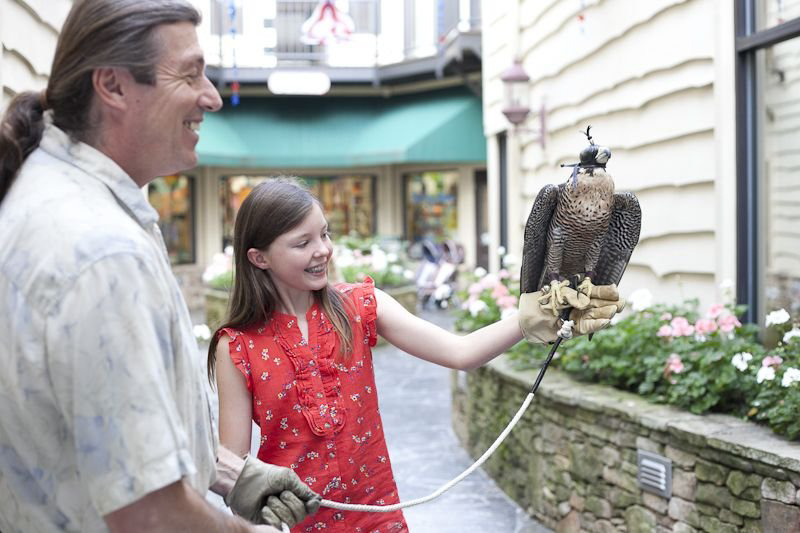 man and girl holding a falcon